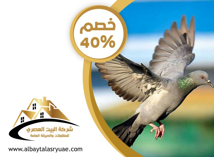 شركة مكافحة الحمام