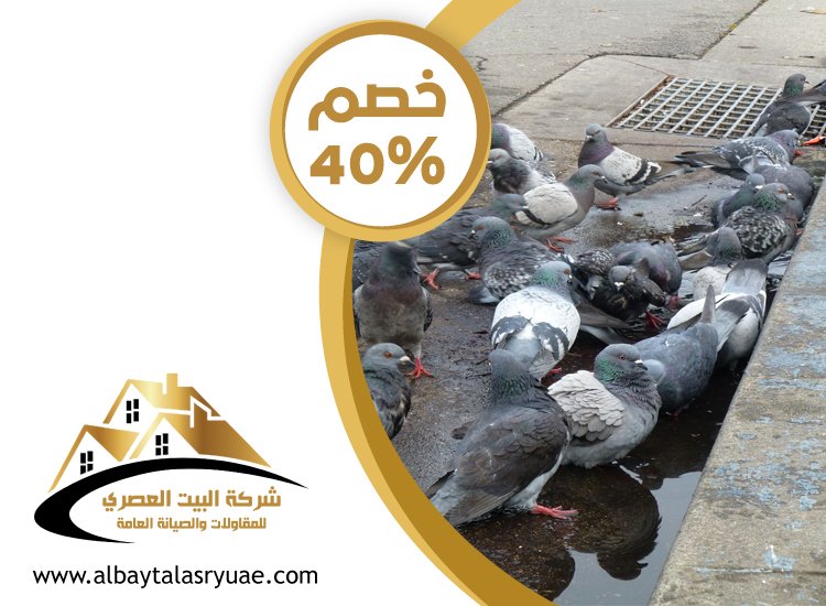 شركة مكافحة الحمام