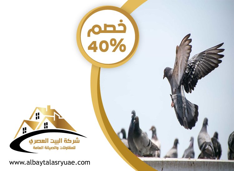 شركة مكافحة الحمام في رأس الخيمة