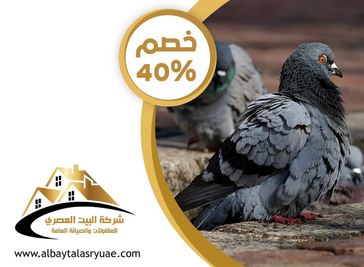 شركة مكافحة الحمام