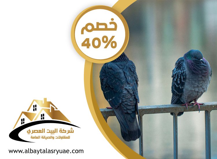 شركة مكافحة الحمام في ابوظبي