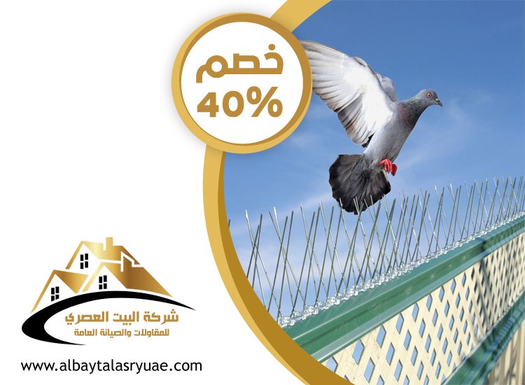 شركة مكافحة الحمام في الشارقة